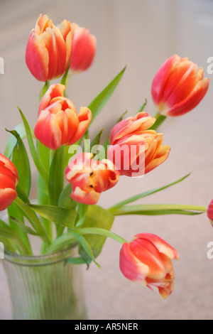 Tulipes rouges et jaunes dans un vase Banque D'Images