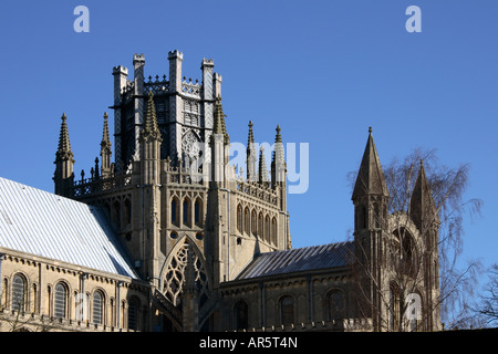 L'octogone, Cathédrale d'Ely, Cambridgeshire, Angleterre, Royaume-Uni. Banque D'Images