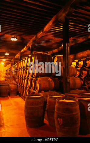 Cave à vin dans la cave 'Bodegas Muga', Haro, La Rioja, Espagne Banque D'Images