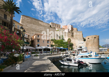 Port et Citadelle, Quai Landry, Calvi, La Balagne, Corse, France Banque D'Images