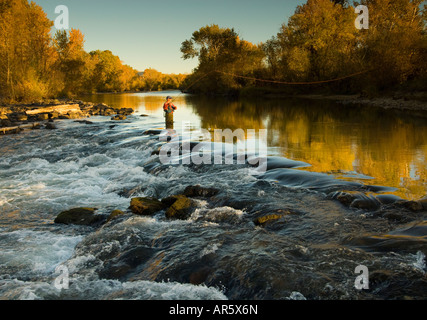 Ville de l'Idaho Boise pêcheur de mouche Pêche à la Boise River à l'automne Banque D'Images