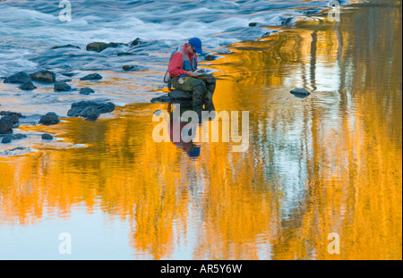 Ville de l'Idaho Boise Fly fishernman la pêche sur la rivière de Boise dans l'automne Banque D'Images