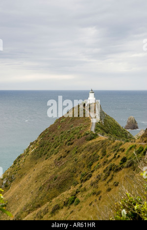 Nugget Point Phare et dans la région des Catlins néos-zélandais Île du Sud Banque D'Images
