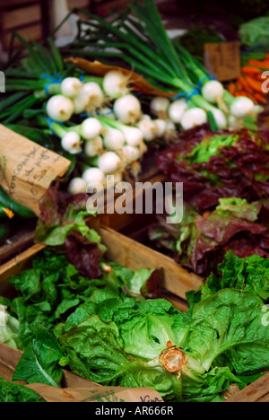 Des légumes frais pour la vente sur le marché, les agriculteurs français à Paris France Banque D'Images