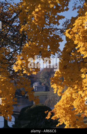 Teinté d'or feuilles d'un arbre de l'érable de Norvège à l'automne l'élaboration d'une vue sur le lac du Panthéon à Stourhead Banque D'Images