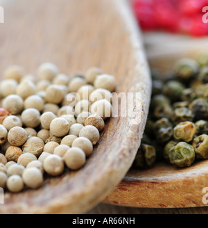Assorted peppercorns dans la cuisine en bois macro cuillères Banque D'Images