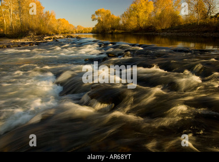 Ville de l'Idaho Boise de couleur à l'automne sur la rivière Boise Banque D'Images