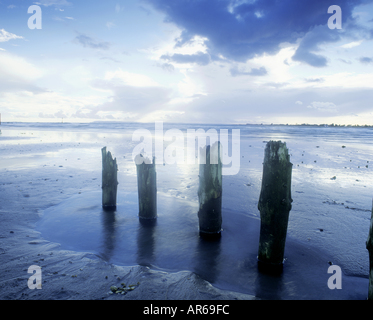 West Wittering Chef de l'Est Sussex Banque D'Images