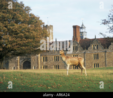 Knole Kent Banque D'Images