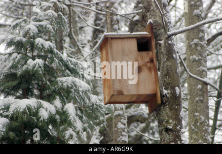 Une boîte de l'habitat de la faune offre un abri pour les petits animaux au cours d'un jour de neige à Portland Oregon USA Banque D'Images