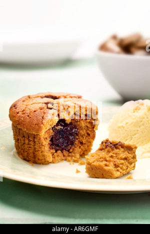 Rempli de chocolat Gâteau de gingembre sur plaque latérale avec dairy ice cream Soft focus Light Brown soft sweet variété de confiserie à sec Banque D'Images