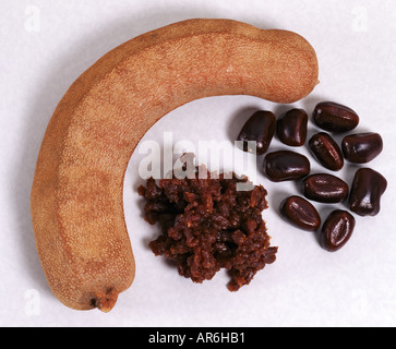 Pod Tamarind Tamarindus indica graines pâtes et L Banque D'Images