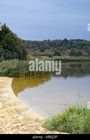 Frensham grand étang près de Farnham, dans le Surrey Banque D'Images