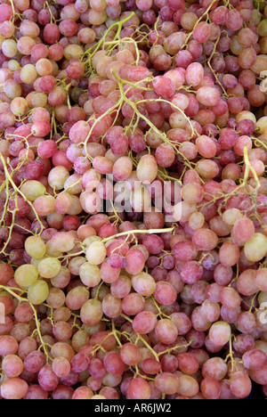 Dessert sucré Raisin vert rose satin satinée bloom levure viticulture vigne agriculture pastel de tiges d'appétissants backdro Banque D'Images