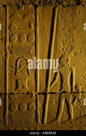 Les images dans le couloir d'entrée de la tombe de Raemkai la procession des oiseaux mur est Metropolitan Museum New York USA Banque D'Images