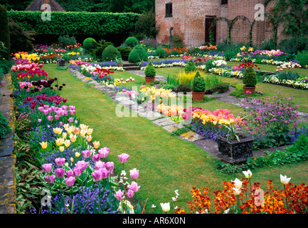 Tulip s'affichent dans le jardin en contrebas à Chennies Manor Banque D'Images