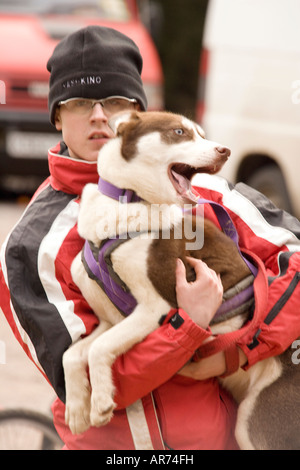 Dog Sports Ecosse un animal chien husky obtenir une caresse Ae Forest Dumfries et Galloway Scotand UK Banque D'Images