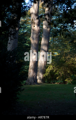 La vie Shropshire fonction jardinage 2008 Arley Arboretum à Worcestershire Banque D'Images