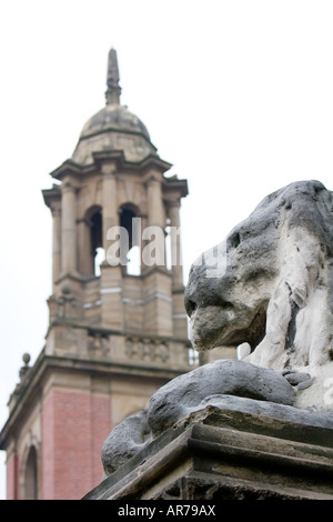 Un lion en pierre patiné à l'extérieur de l'Hôtel de ville de Leeds de Leeds UK 12 décembre 2007 Banque D'Images