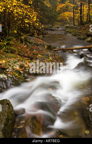 Sanderson Brook Falls. Chester-Blanford State Forest. Affluent de la rivière Connecticut. Chester, Massachusetts. Banque D'Images