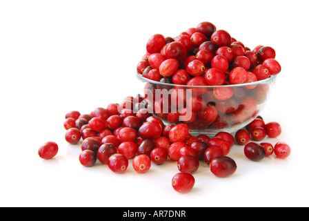 Canneberges rouges frais dans un bol en verre sur fond blanc Banque D'Images