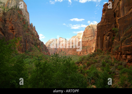 Vue d'une partie de l'Weeping Rock Canyon de Zion Banque D'Images