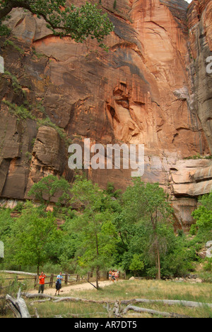 Visiteurs parcourent le long de la Promenade du sentier qui mène dans un canyon étroit où la rivière coule à travers vierge Banque D'Images