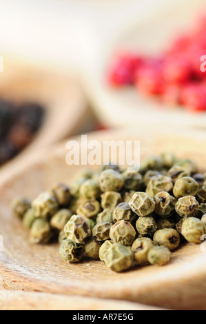 Assorted peppercorns colorés en bois cuillères en cuisine macro Banque D'Images