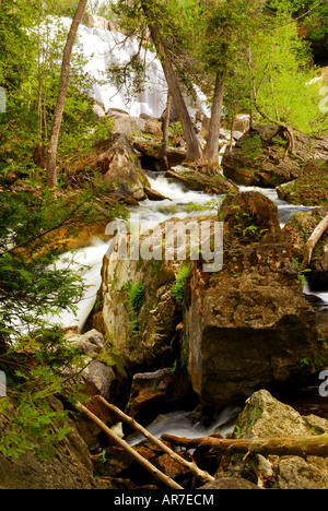 Sur une cascade de la rivière forestiers en Ontario Canada Banque D'Images