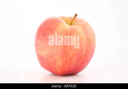 Gala une pomme rouge sur un fond blanc Banque D'Images