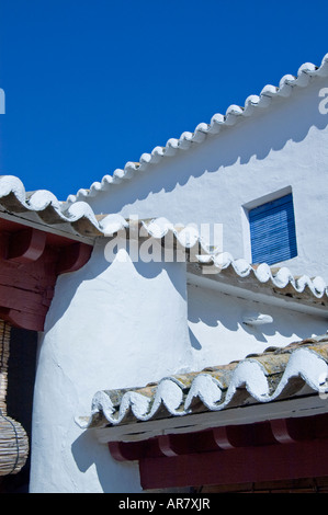 Fragment d'Inn 'Venta del Quichotte', Puerto Lapice, La Mancha, Espagne Banque D'Images