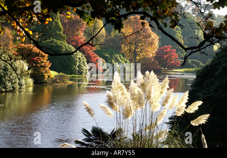 Photo par Roger Bamber 28 octobre 2005 arbres dans Sheffield Park près de Haywards Heath East Sussex changent de couleur en automne Banque D'Images