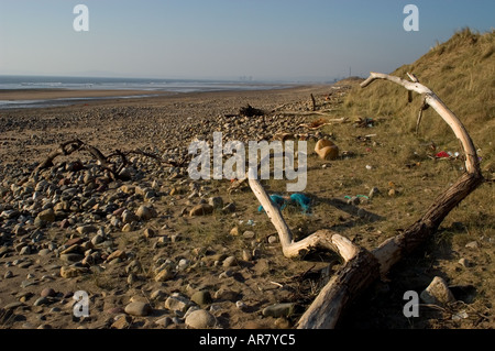 Driftwood on a Beach Banque D'Images