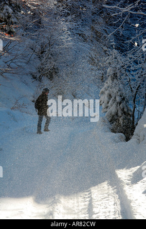 Promenade dans la forêt d'hiver avec de la neige tombant doucement au-dessus des arbres près de Steinbachtal Lenggries Bavaria Allemagne Europe Banque D'Images