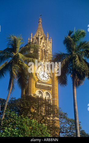 Tour de l'horloge de l'Université de Bombay Kala Ghoda salon Mumbai Inde Banque D'Images