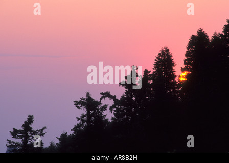 La silhouette des arbres au coucher du soleil de Hanging Rock, Sequoia National Park, la Sierra Nevada, en Californie, USA Banque D'Images