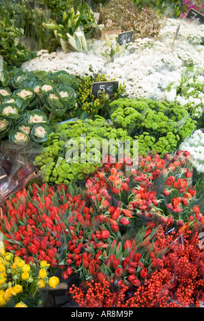 Fleurs pour la vente à un décrochage dans la rue Montorgueil Rue des petits carreaux dans le 2ème arrondissement de Paris Banque D'Images