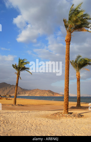 Vue de la plage, l'établissement Hyatt Regency Taba Heights, Taba Heights, péninsule du Sinaï, Égypte Banque D'Images