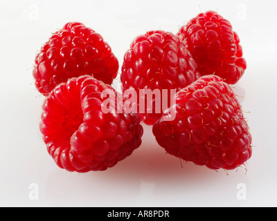 Framboises fraîches biologiques sur un fond blanc Banque D'Images