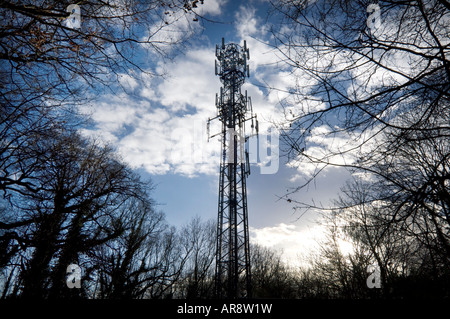 Un téléphone mobile en bois mât en vert Glossops Crawley West Sussex Banque D'Images