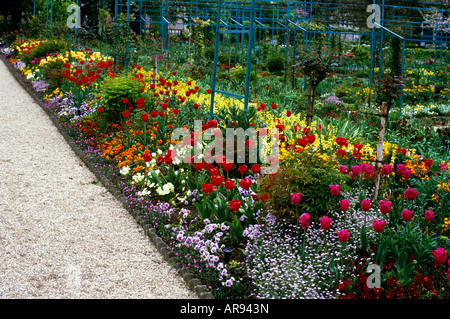 Printemps coloré frontière dans l'allée centrale à Giverny Banque D'Images