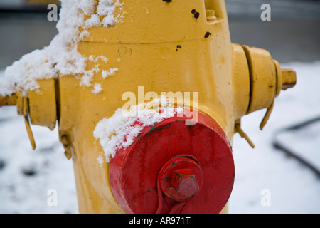 Neige sur poteau incendie Banque D'Images