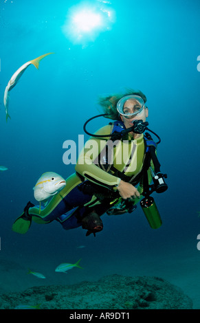 Vivaneau à queue jaune et de scuba diver Ocyurus chrysurus Punta Cana, République dominicaine Mer des Caraïbes Banque D'Images