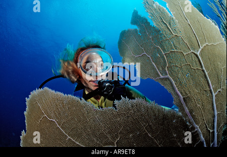 Coral reef scuba diver et Punta Cana, République dominicaine Mer des Caraïbes Banque D'Images