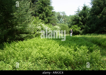 Pennsylvania Pocono Mountains, White Mills, Dorflinger Suydam Wildlife Sanctuary, les visiteurs voyage voyage visite touristique sites touristiques cultu Banque D'Images