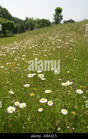 Pennsylvania Pocono Mountains, White Mills, Dorflinger Suydam Wildlife Sanctuary, les visiteurs voyage voyage visite touristique sites touristiques cultu Banque D'Images