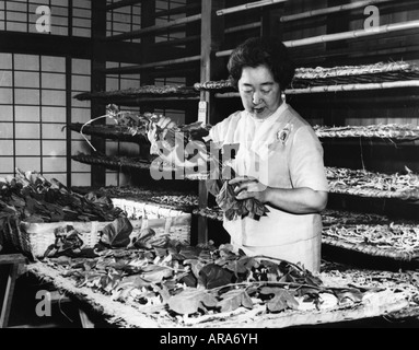 Hirohito, 29.4.1901 - 7.1.1989, Empereur (tenno) du Japon 25.12.1926 - 7.1.1989, sa femme Empress Kojun, demi-longueur, nourrissant des vers à soie, 1970, Banque D'Images