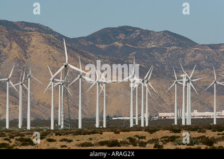 éoliennes Banque D'Images