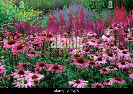 Pensthorpe Jardin Millenium, Norfolk Banque D'Images