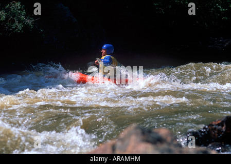 Kayak en eau vive sur Clear Creek, près de Golden Colorado Banque D'Images